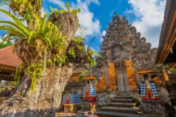 Trip to Ubud - Ubud palace